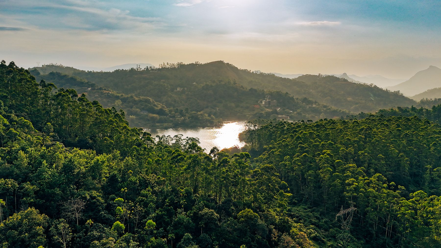 Aerial Lake And Forest Landscape